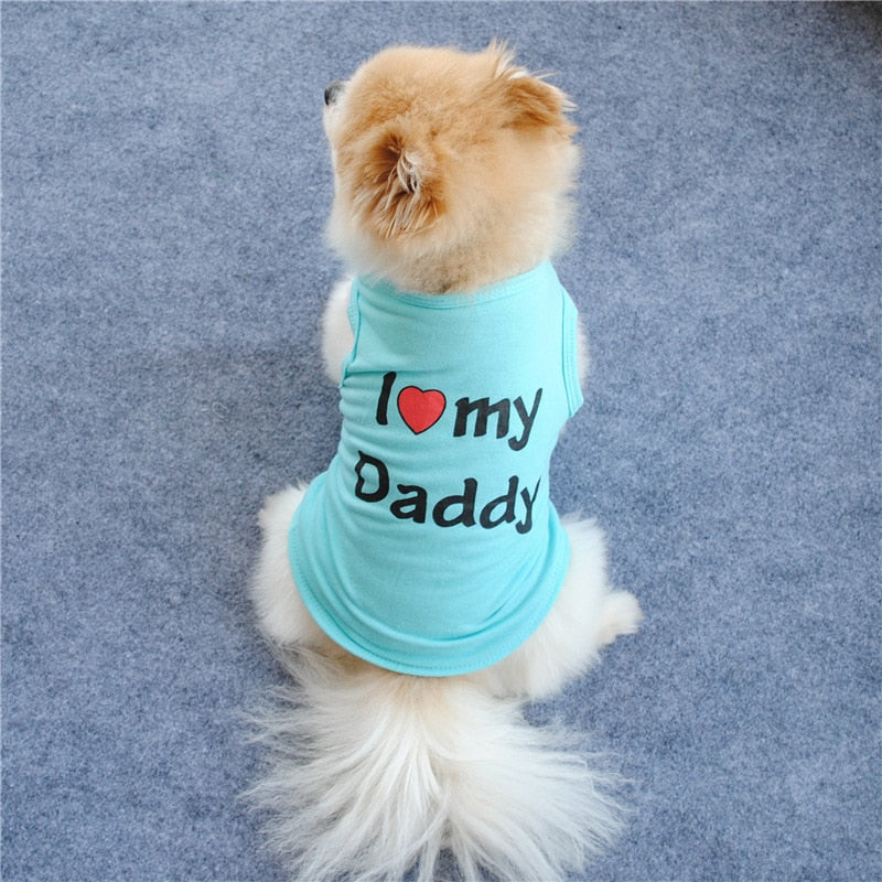 Śliczna koszulka dla psa