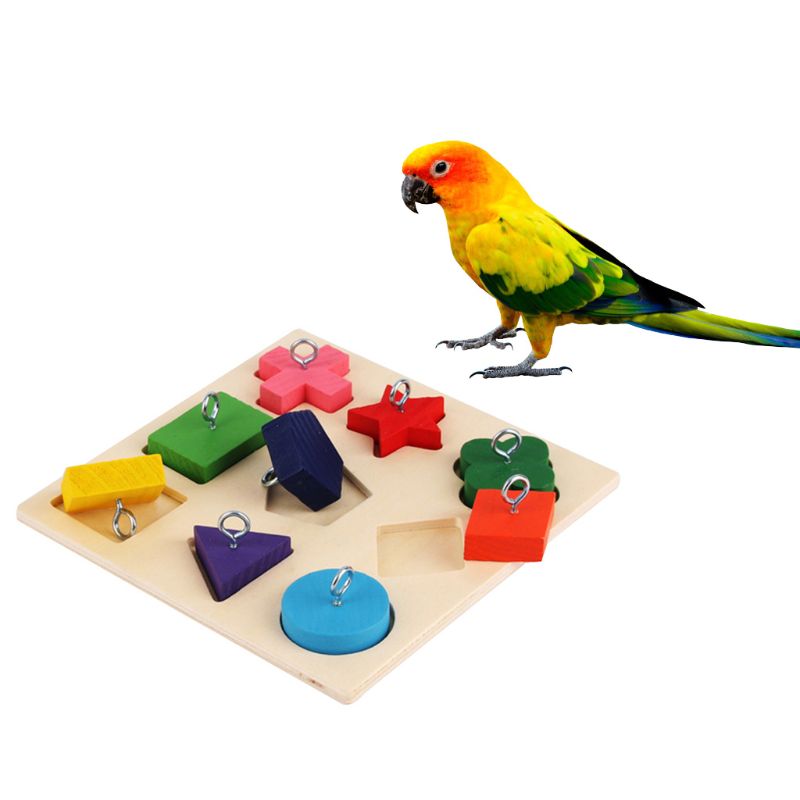Zabawka interaktywna dla papug