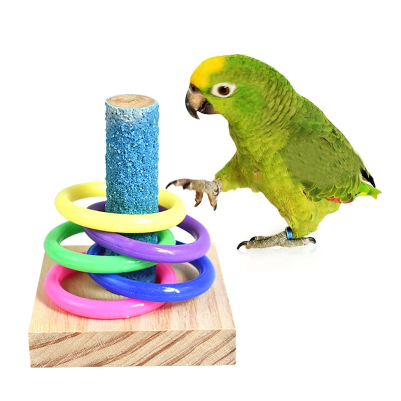 Zabawki inteligentne dla papugi