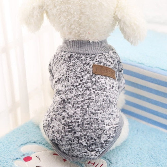 Sweter z naszywką dla psa