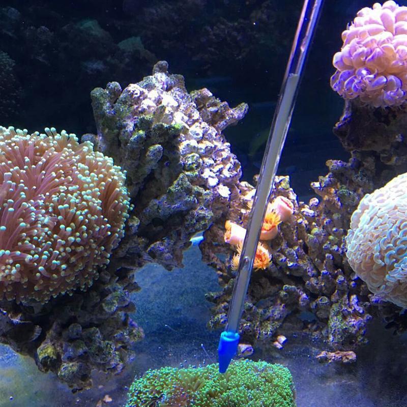 Pipeta do karmienia koralowców