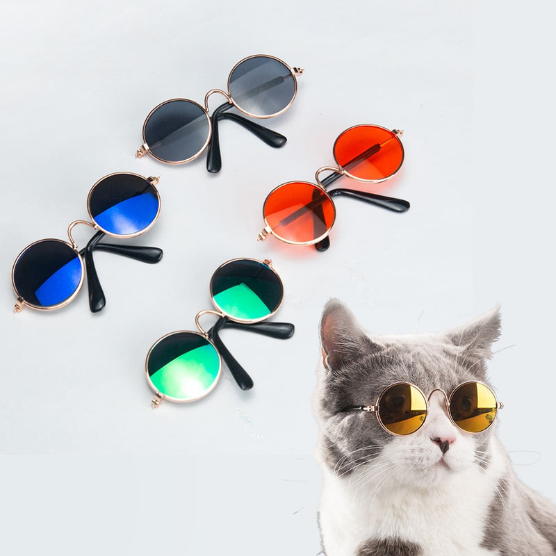 Okulary dla kota i psa