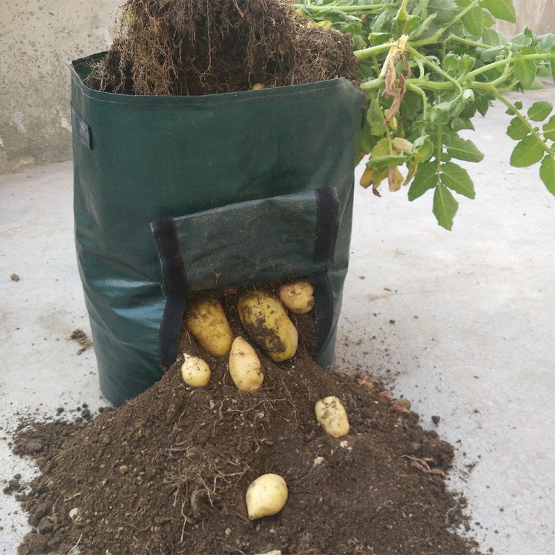Torba do sadzenia ziemniaków